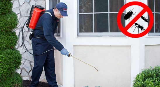 Karabük Kemirgen İlaçlama böcek ilaçlama ve haşere kontrolü — ilaclama-tr.com